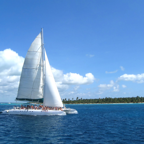 Yelkenli ve katamaran